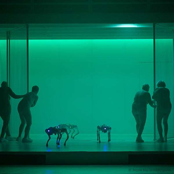 Regie - Florentina Holzinger - ayws