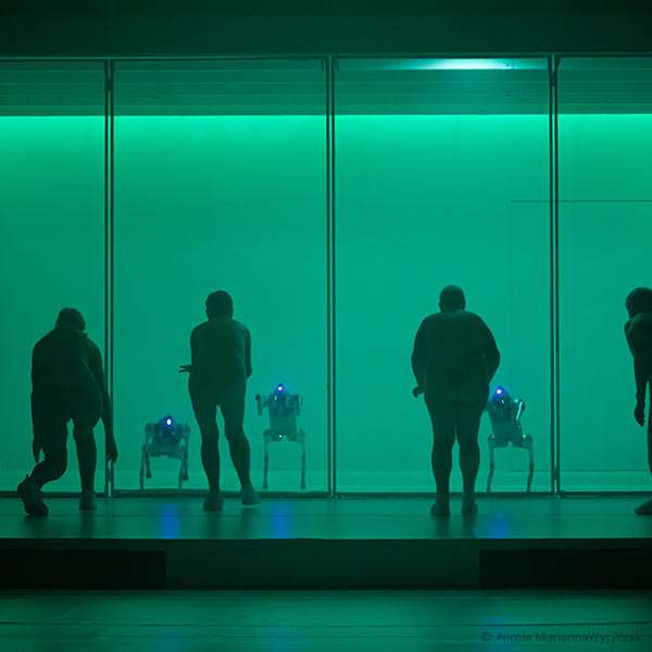 Regie - Florentina Holzinger - ayws