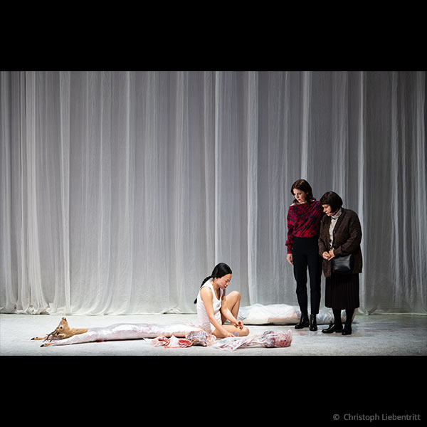 Marie Schleef für „Die Vegetarierin“