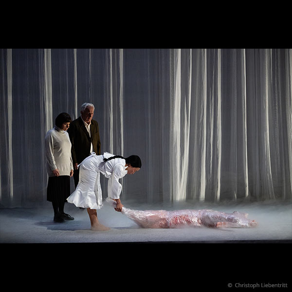 Marie Schleef für „Die Vegetarierin“