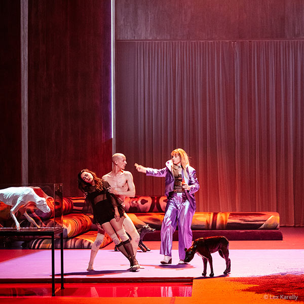 Dominik Puhl in „Mein Jahr der Ruhe und Entspannung“