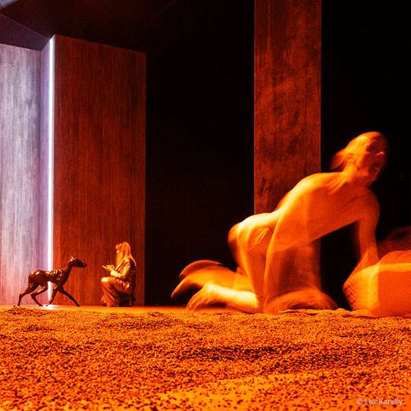 NR - Dominik Puhl - Mein Jahr ...